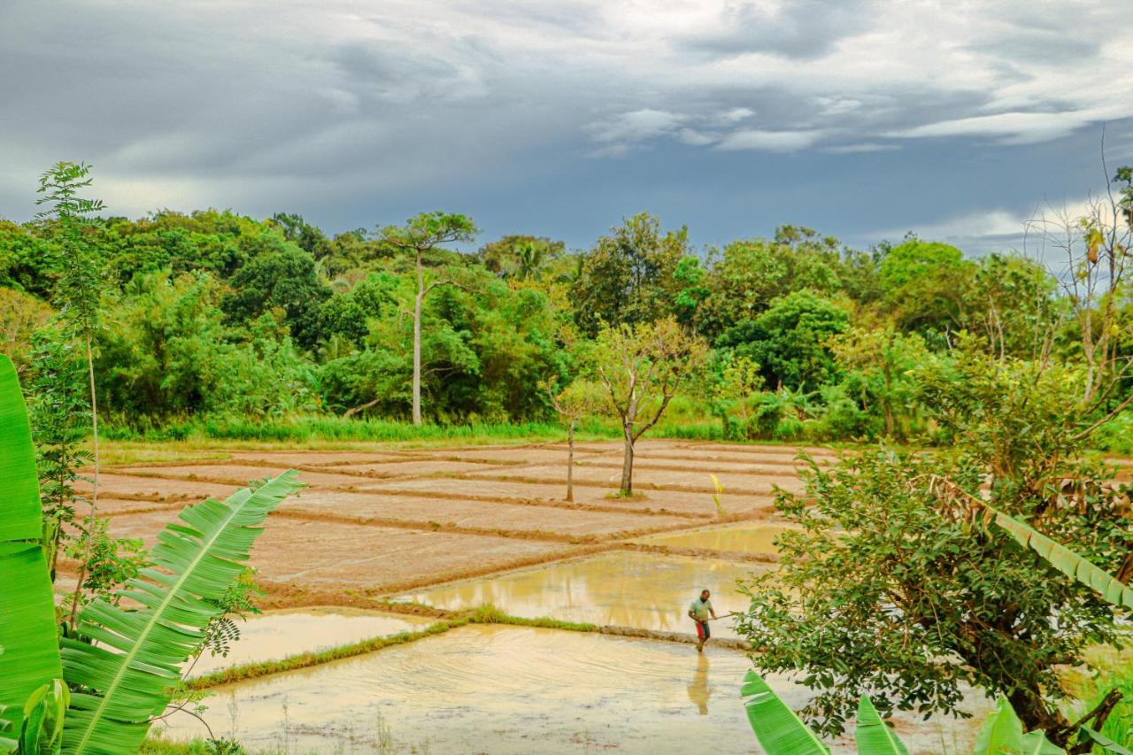 Sigiri Gayani Home Stay Sigiriya Dış mekan fotoğraf