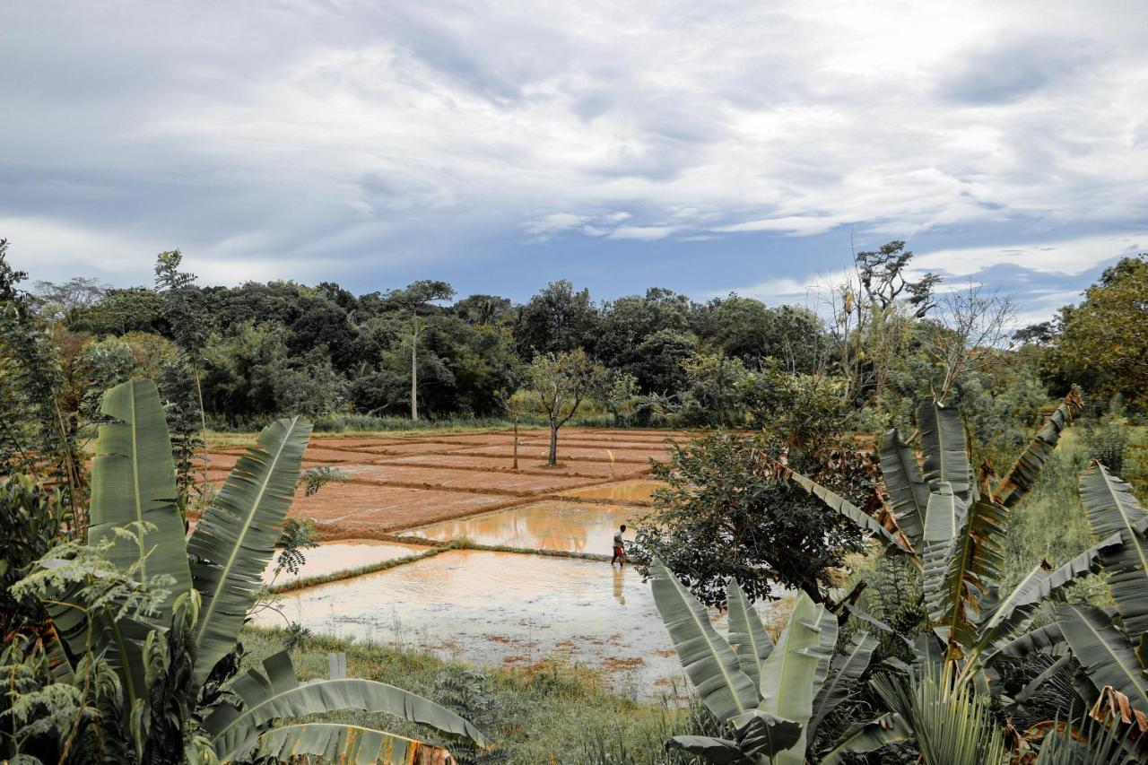 Sigiri Gayani Home Stay Sigiriya Dış mekan fotoğraf